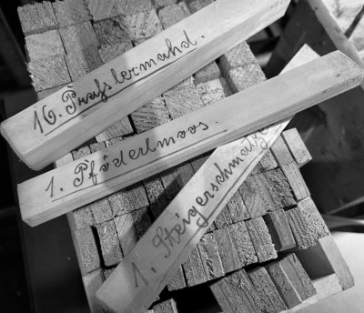 Moosverlosungskasten mit Loshölzern und Schriftschablonen, aus den 1950er Jahren
