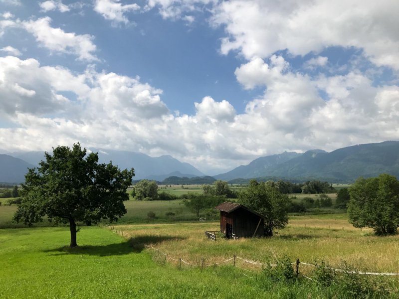 Die Murnauer Landschaft und das Moos
