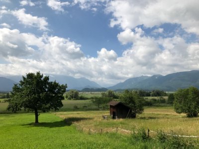 Die Murnauer Landschaft und das Moos