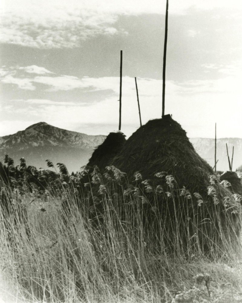 Erika Groth-Schmachtenberger (1906-1992) Photokopierapparat, um 1928 