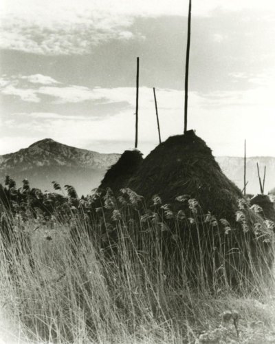 Erika Groth-Schmachtenberger (1906-1992) Photokopierapparat, um 1928 